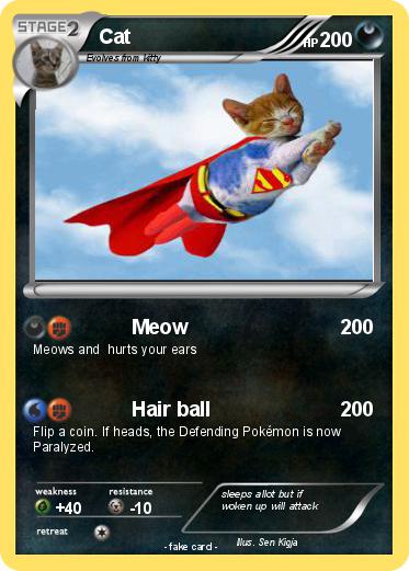 Pokemon Cat