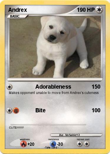 Pokemon Andrex