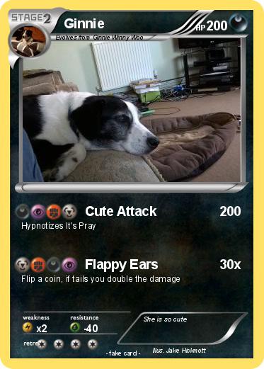 Pokemon Ginnie