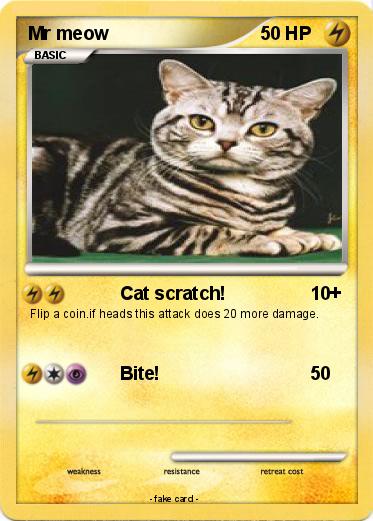Pokemon Mr meow