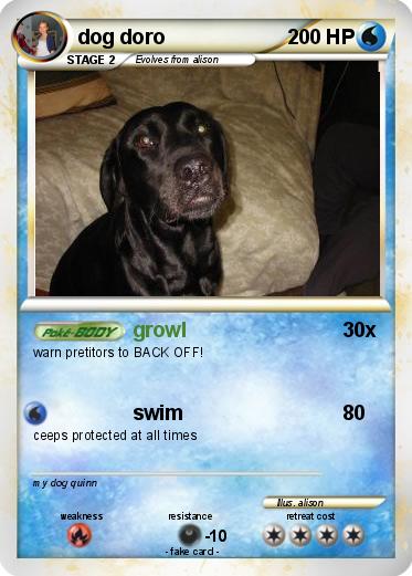 Pokemon dog doro