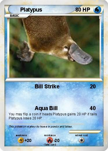Pokemon Platypus