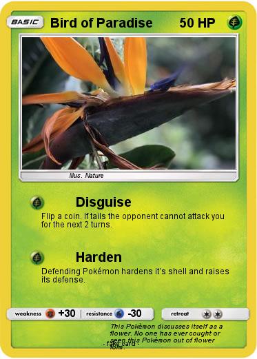 Pokemon Bird of Paradise