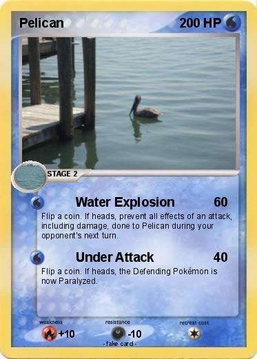 Pokemon Pelican