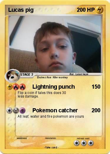 Pokemon Lucas pig