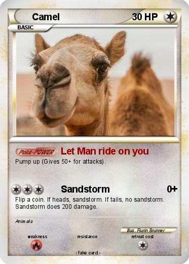 Pokemon Camel