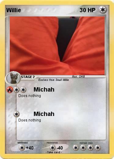 Pokemon Willie