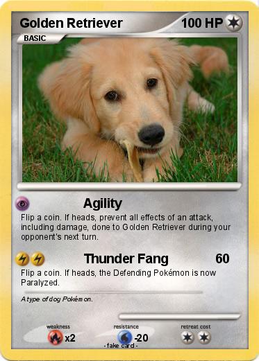 Pokemon Golden Retriever