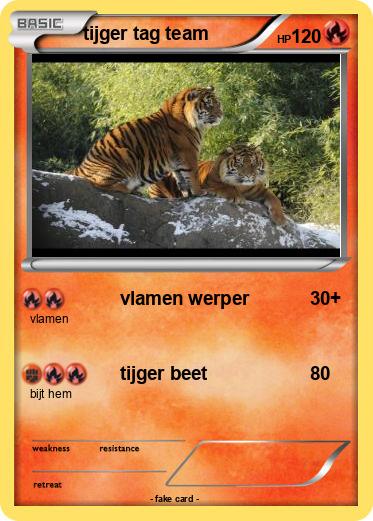 Pokemon tijger tag team