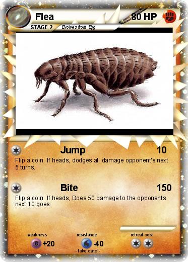 Pokemon Flea
