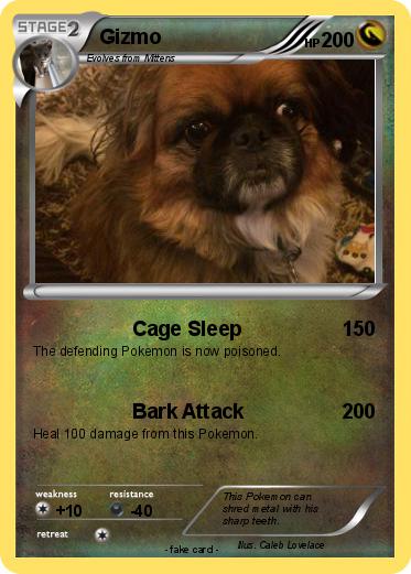 Pokemon Gizmo