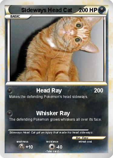 Pokemon Sideways Head Cat