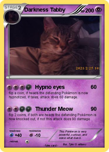 Pokemon Darkness Tabby