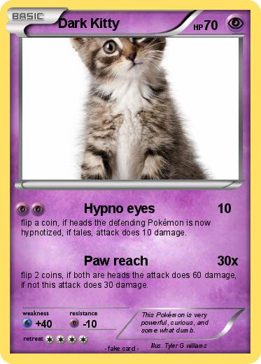 Pokemon Dark Kitty