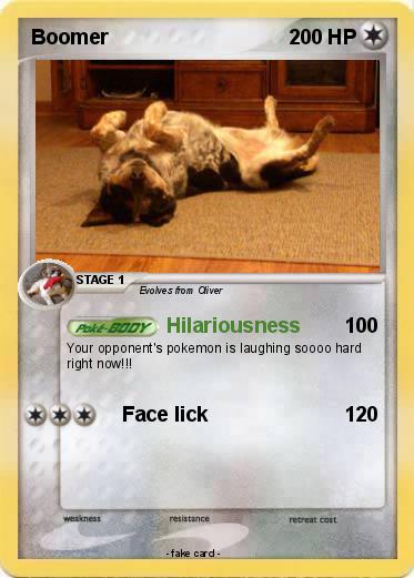 Pokemon Boomer