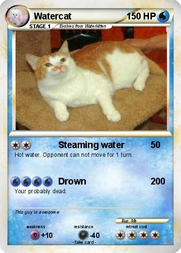 Pokemon Watercat