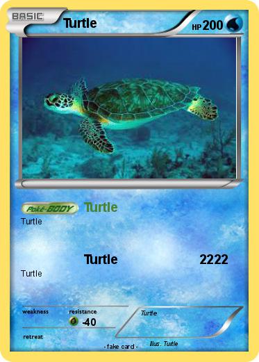 Pokemon Turtle