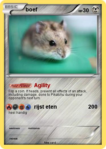 Pokemon boef