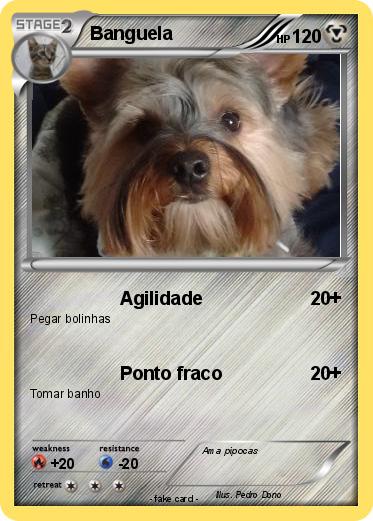 Pokemon Banguela