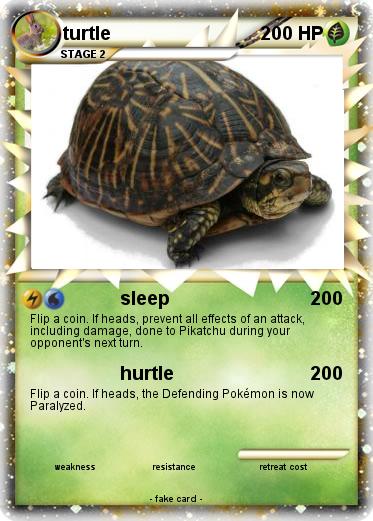 Pokemon turtle