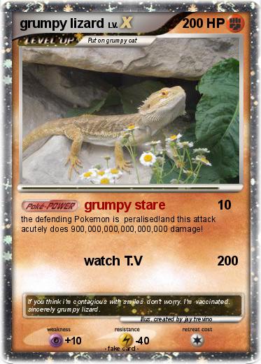 Pokemon grumpy lizard
