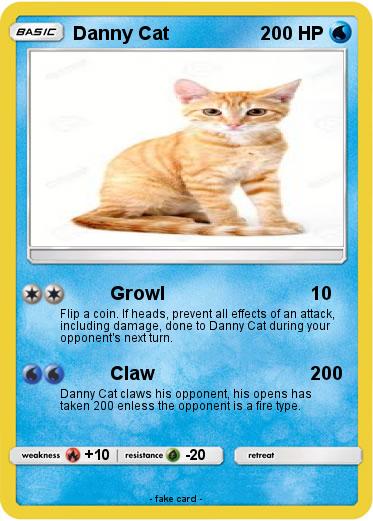 Pokemon Danny Cat