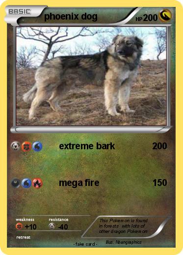 Pokemon phoenix dog
