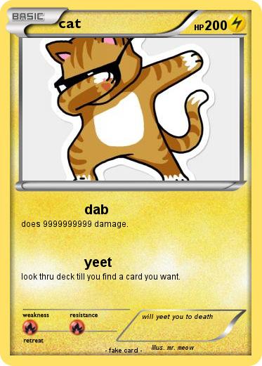Pokemon cat