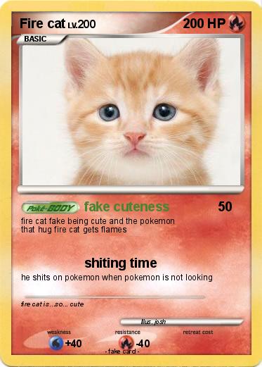 Pokemon Fire cat