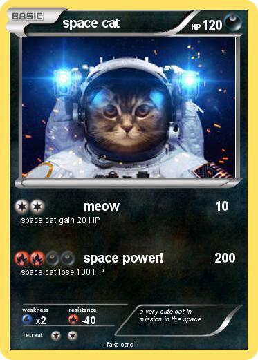 Pokemon space cat