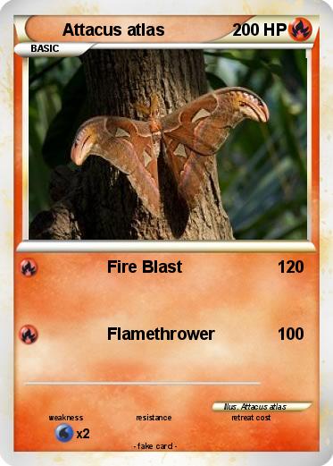 Pokemon Attacus atlas