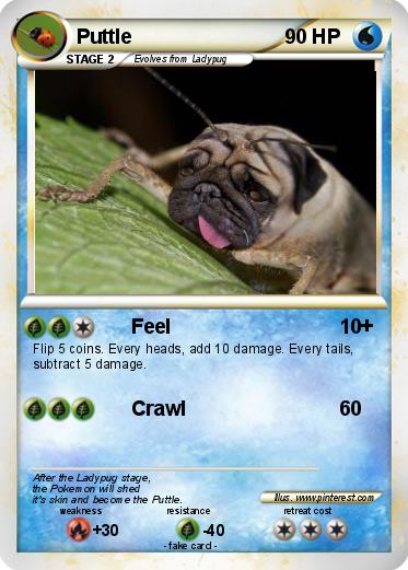 Pokemon Puttle
