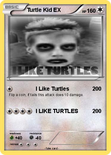 Pokemon Turtle Kid EX