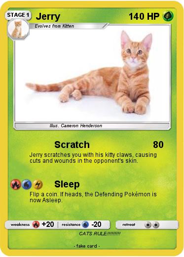 Pokemon Jerry