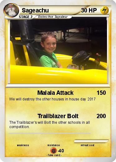 Pokemon Sageachu