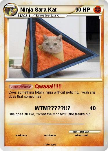 Pokemon Ninja Sara Kat