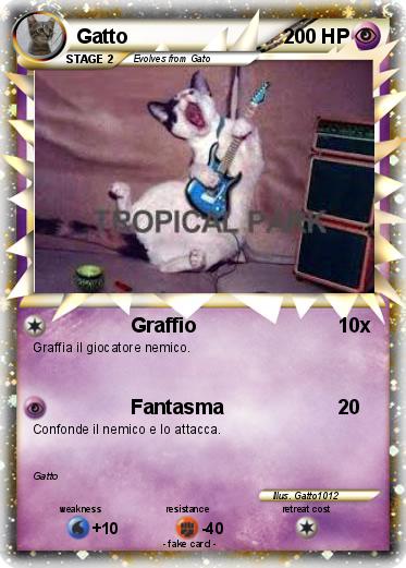Pokemon Gatto
