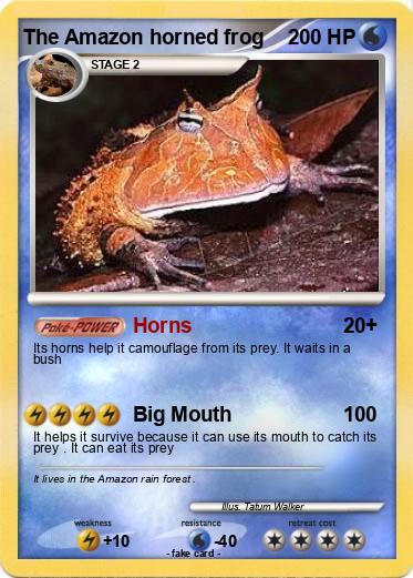 Pokemon The Amazon horned frog