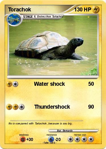 Pokemon Torachok