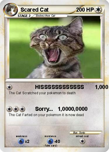 Pokemon Scared Cat