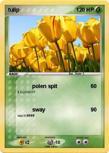 Pokemon tulip