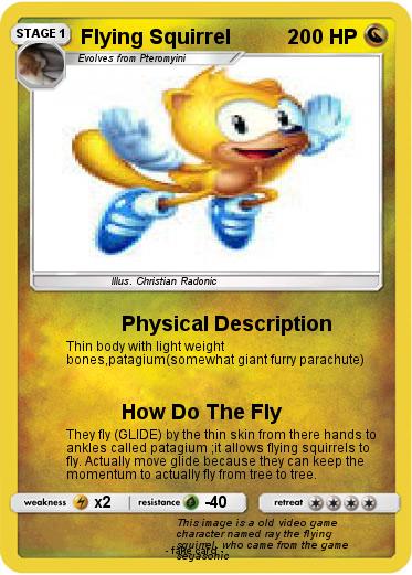 Pokemon Flying Squirrel