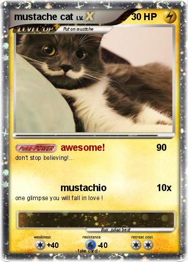 Pokemon mustache cat
