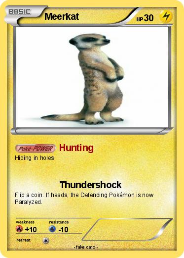Pokemon Meerkat