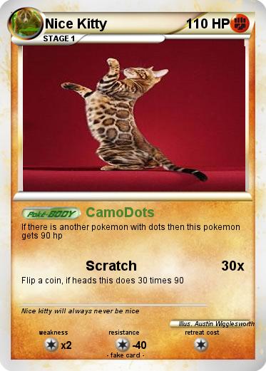 Pokemon Nice Kitty