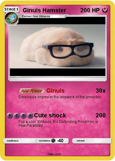Pokemon Ginuis Hamster