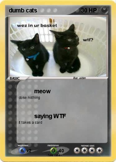 Pokemon dumb cats