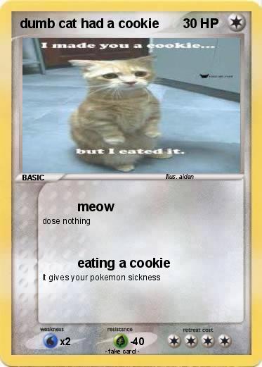 Pokemon dumb cat had a cookie