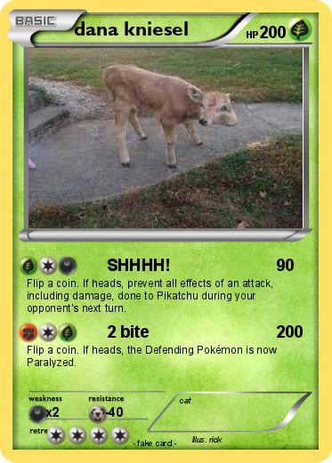Pokemon dana kniesel