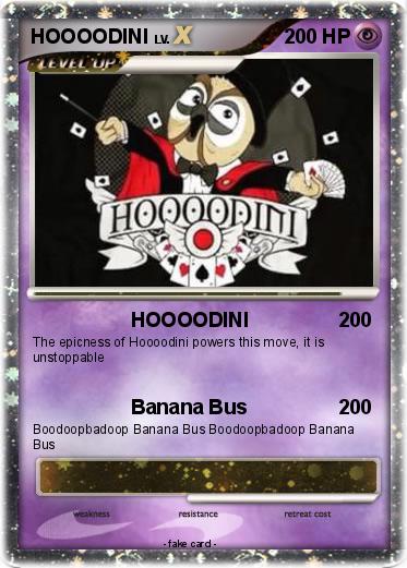 Pokemon HOOOODINI